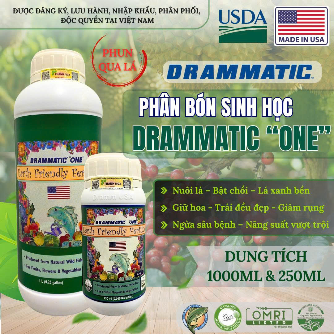 One Lớn +One Nhỏ