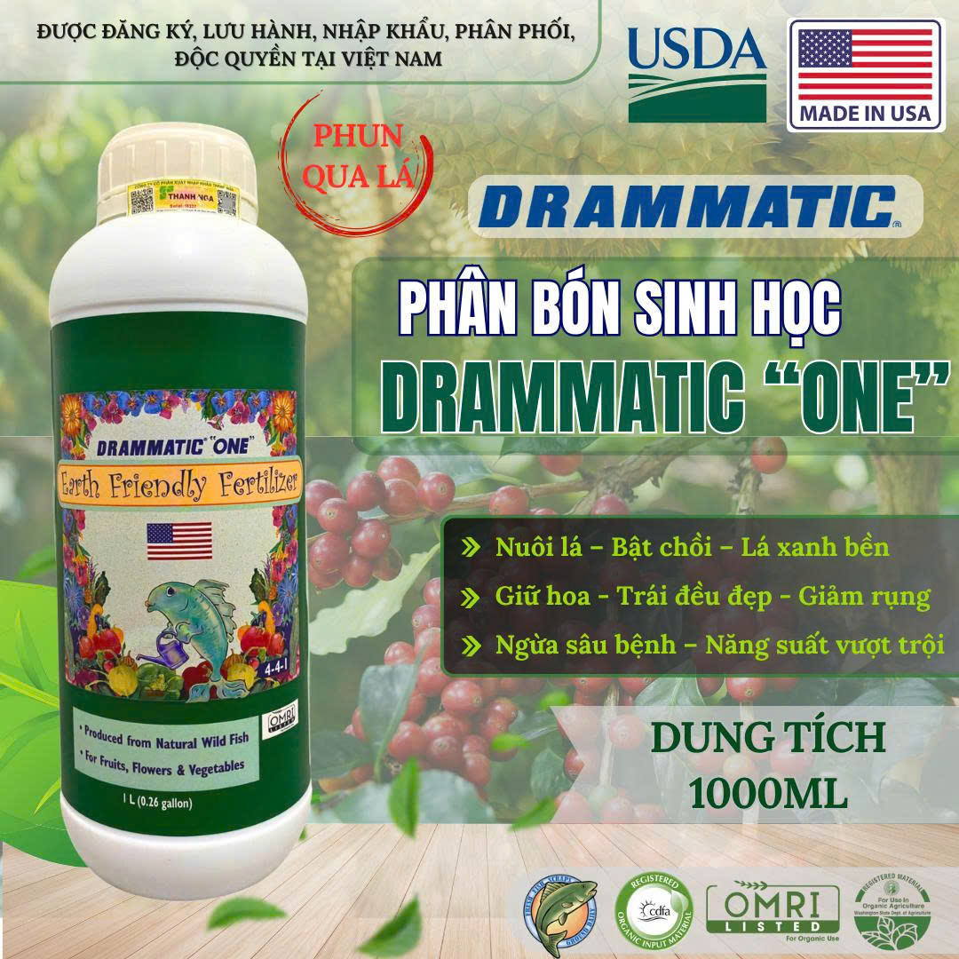 One Lớn