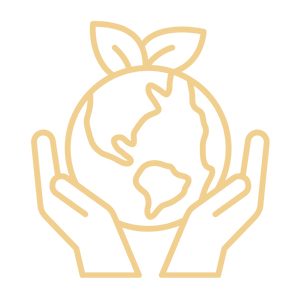 icon chuẩn quốc tế